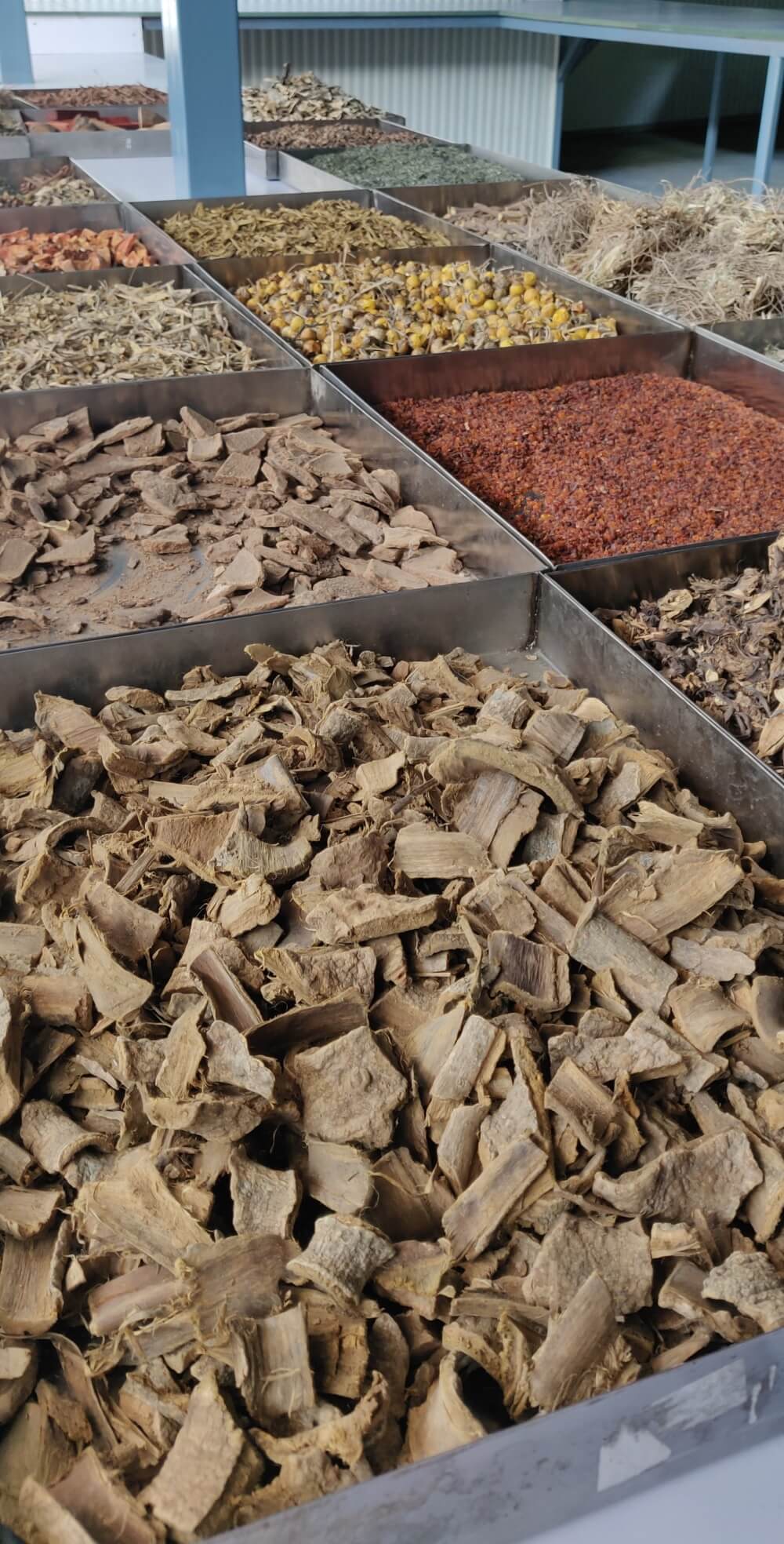 herbs-for-kumkumadi-oil-making