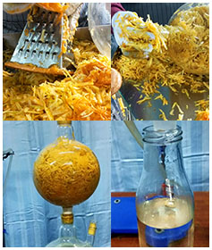 pumpkin-hydrosol-essential-oil